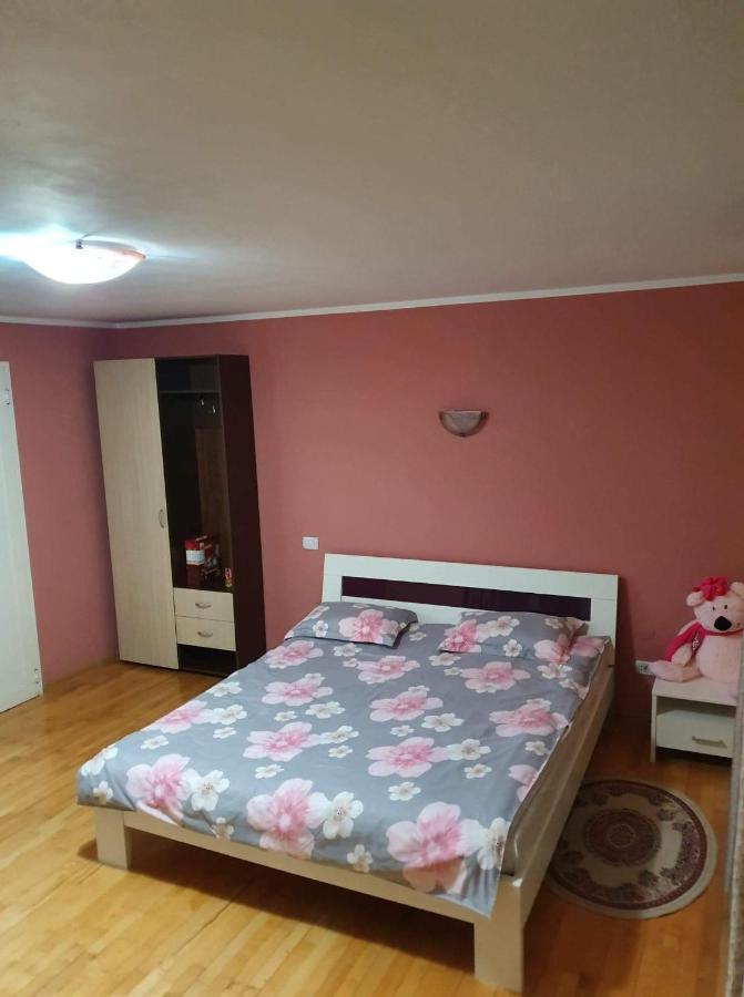 Vila Aslam Hotel Гура Хуморулуй Екстериор снимка