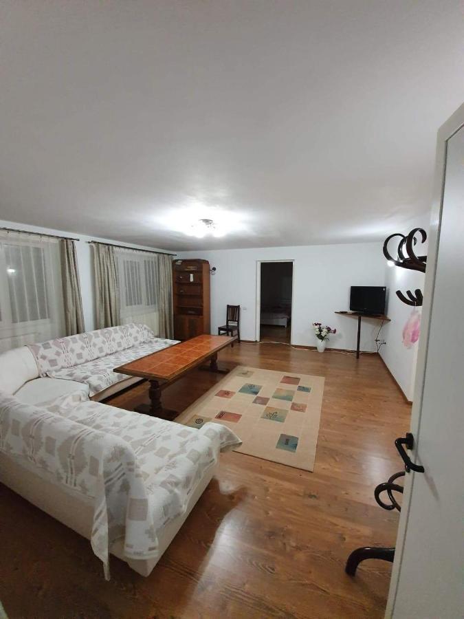 Vila Aslam Hotel Гура Хуморулуй Екстериор снимка